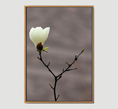 Magnolia-A Framed Wall Art Size 24inx36in