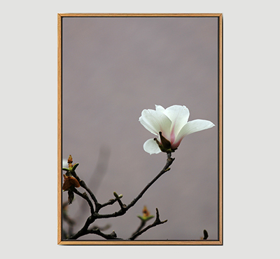 Magnolia-B Framed Wall Art Size 24inx36in