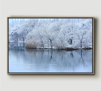 Snow - Solid Framed Size 24in x36in 