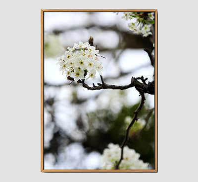 Flower Branch B -Framed Wall Art Size 20in x 29 in