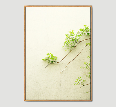 Wall - Framed Wall Art Size 20in x 29in